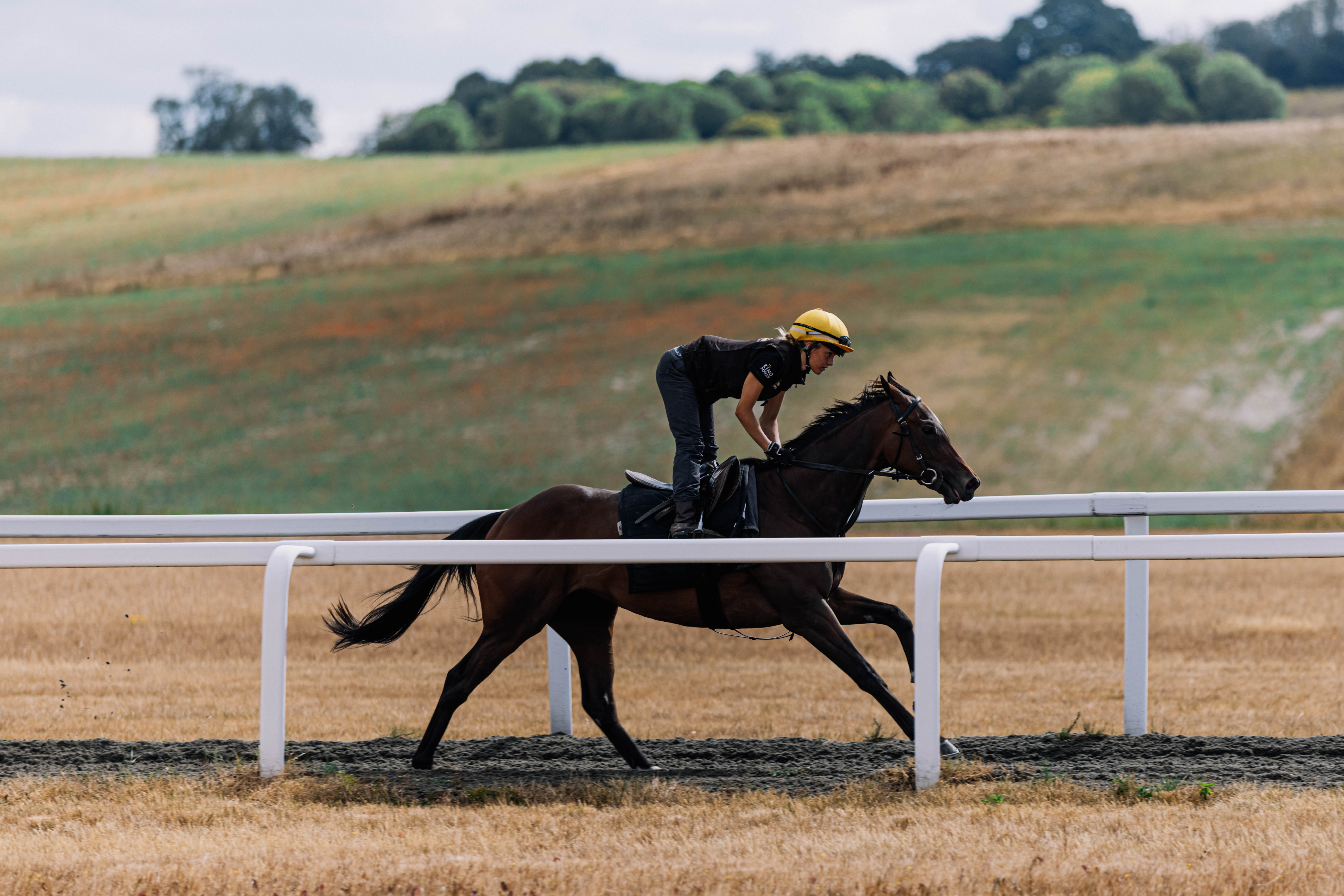 No Shame in Defeat: Scommessa Sicura's Rise Continues at Doncaster