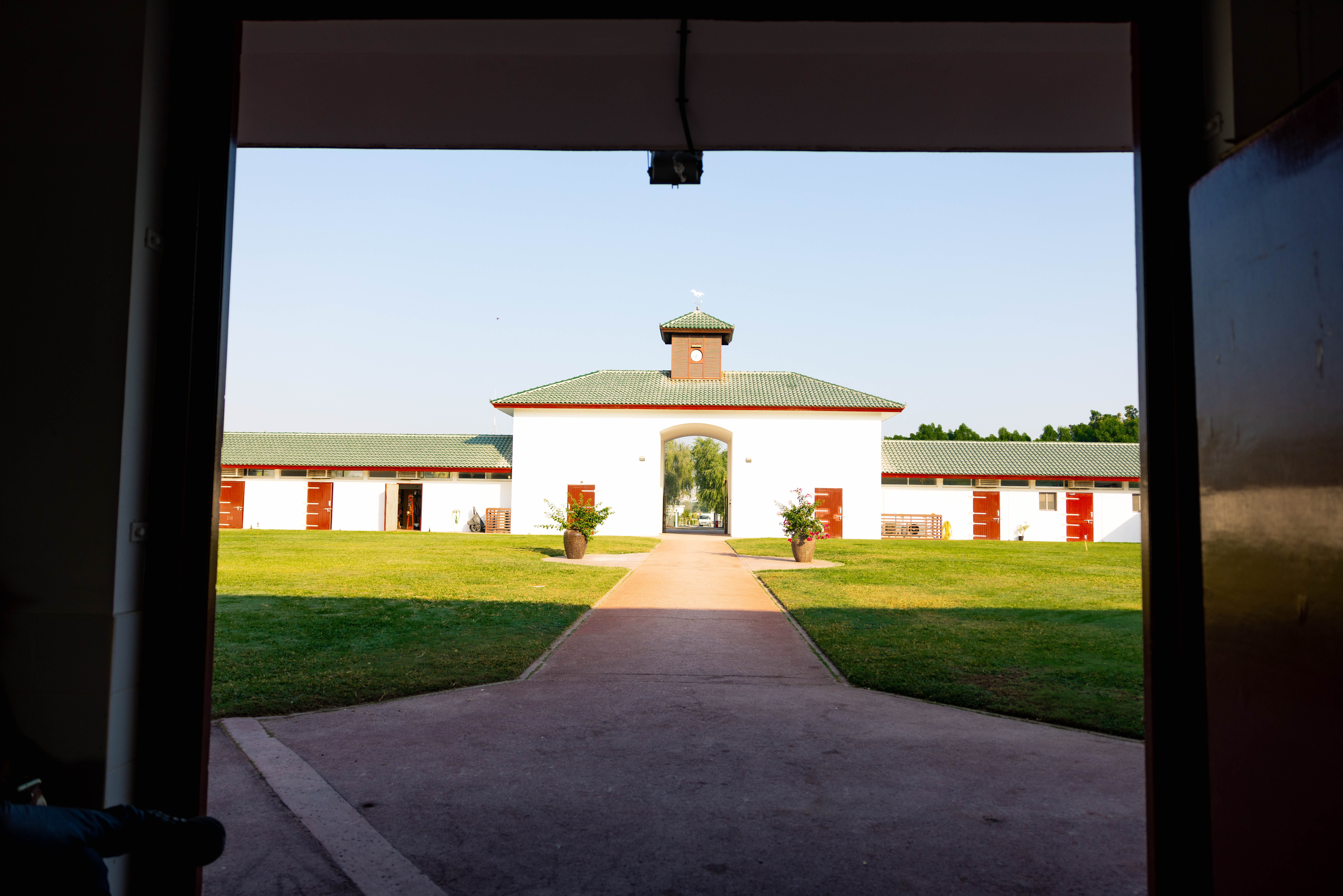 Opulence Thoroughbreds Dubai Bound - By Cornelius Lysaght