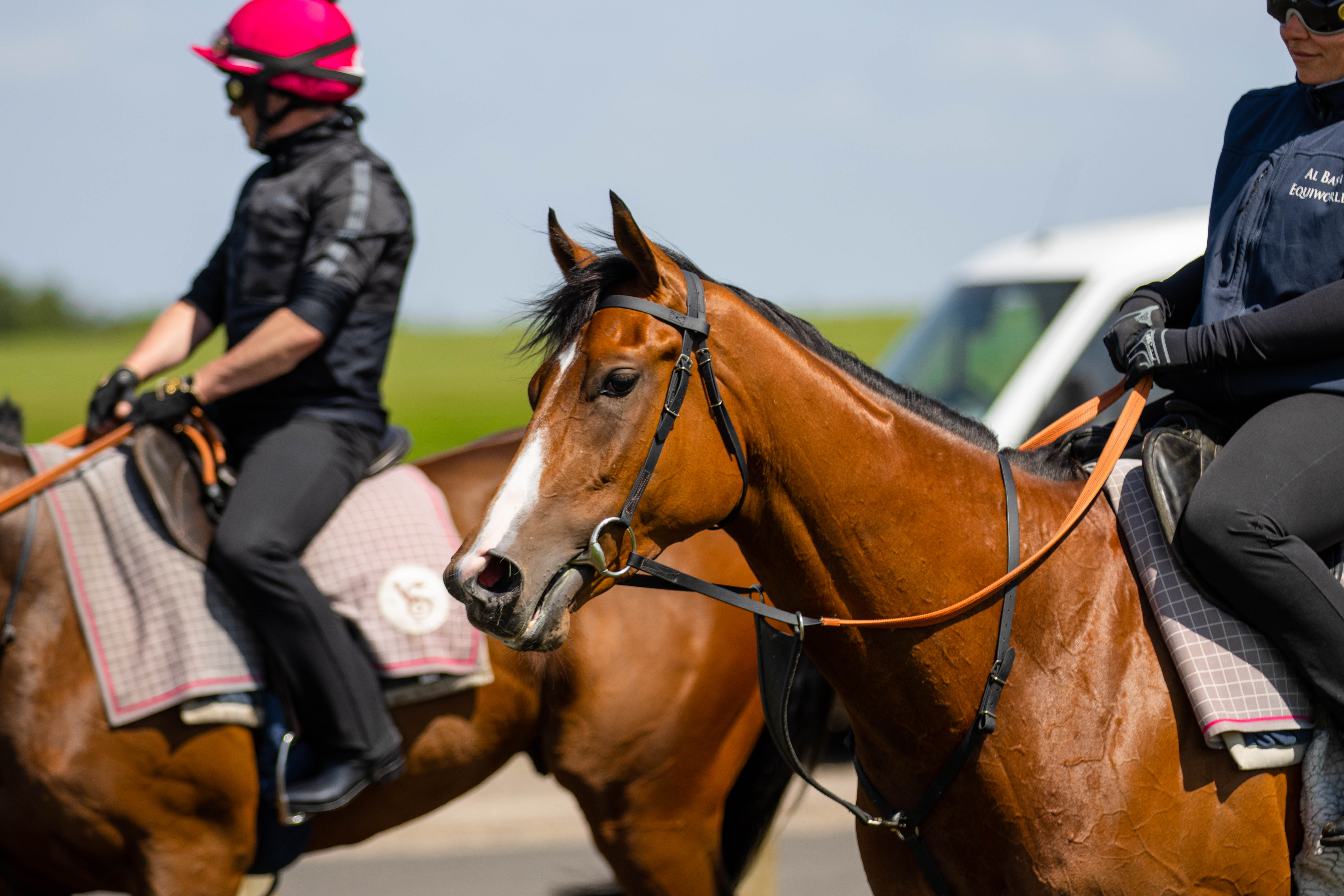 Opulence Goes for Gold Down Under!