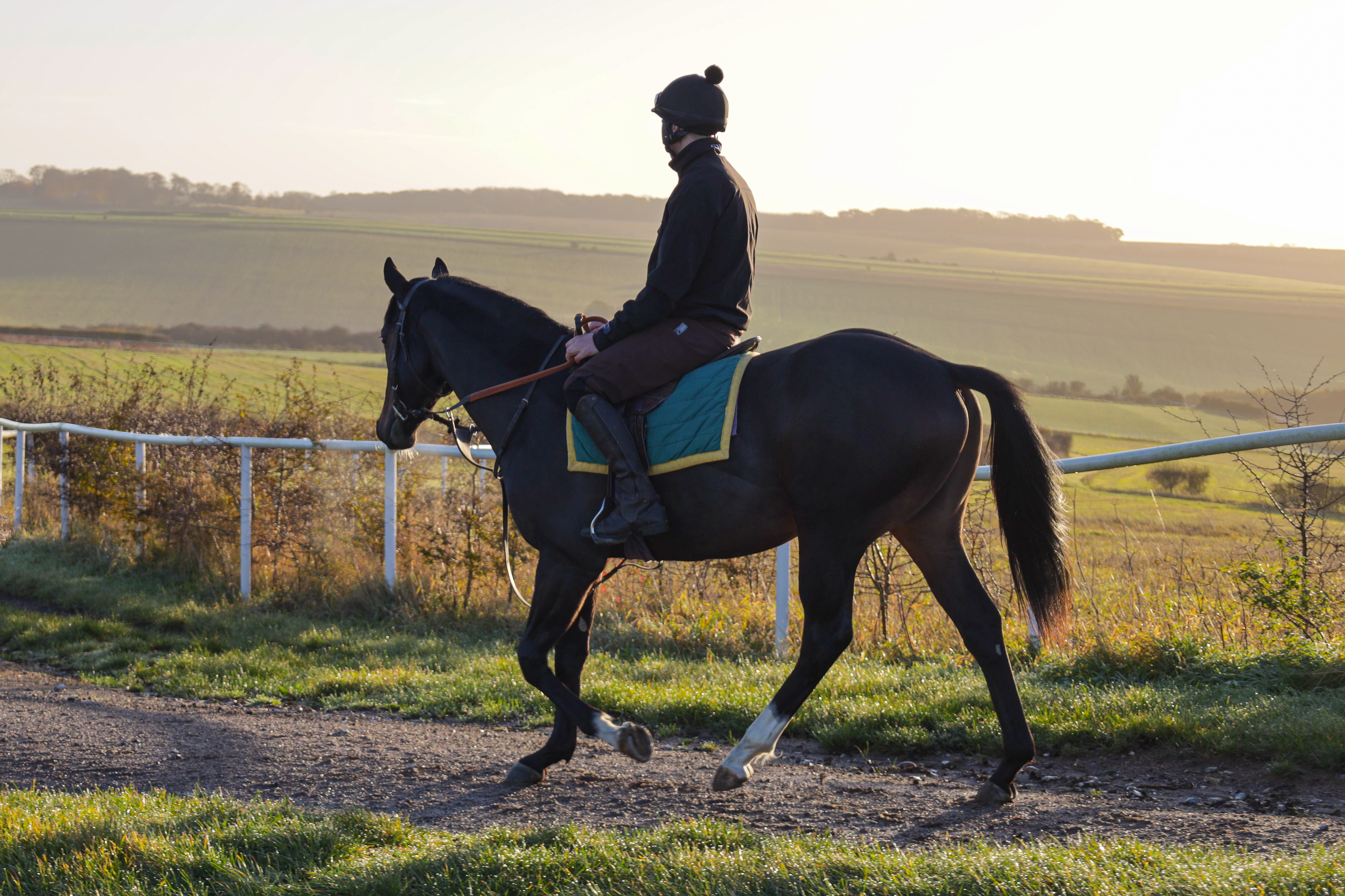 Middleton View: Patience, Promise, and Progress by Cornelius Lysaght