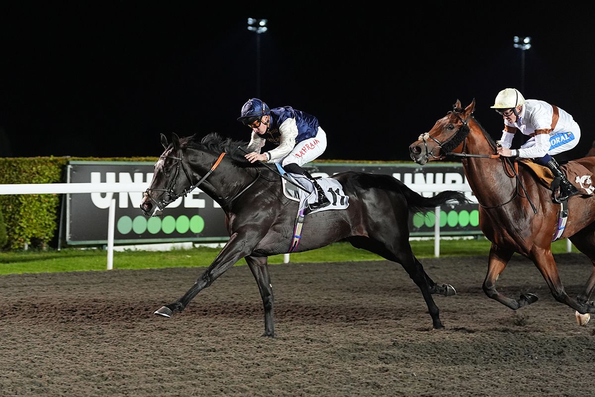 Hat-trick heaven for Devoirs Choice