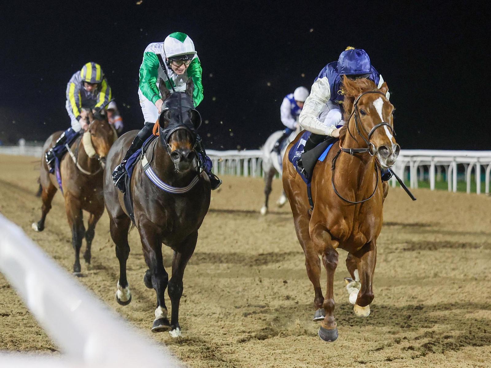 AZURE ANGEL Remains Unbeaten on the All-Weather