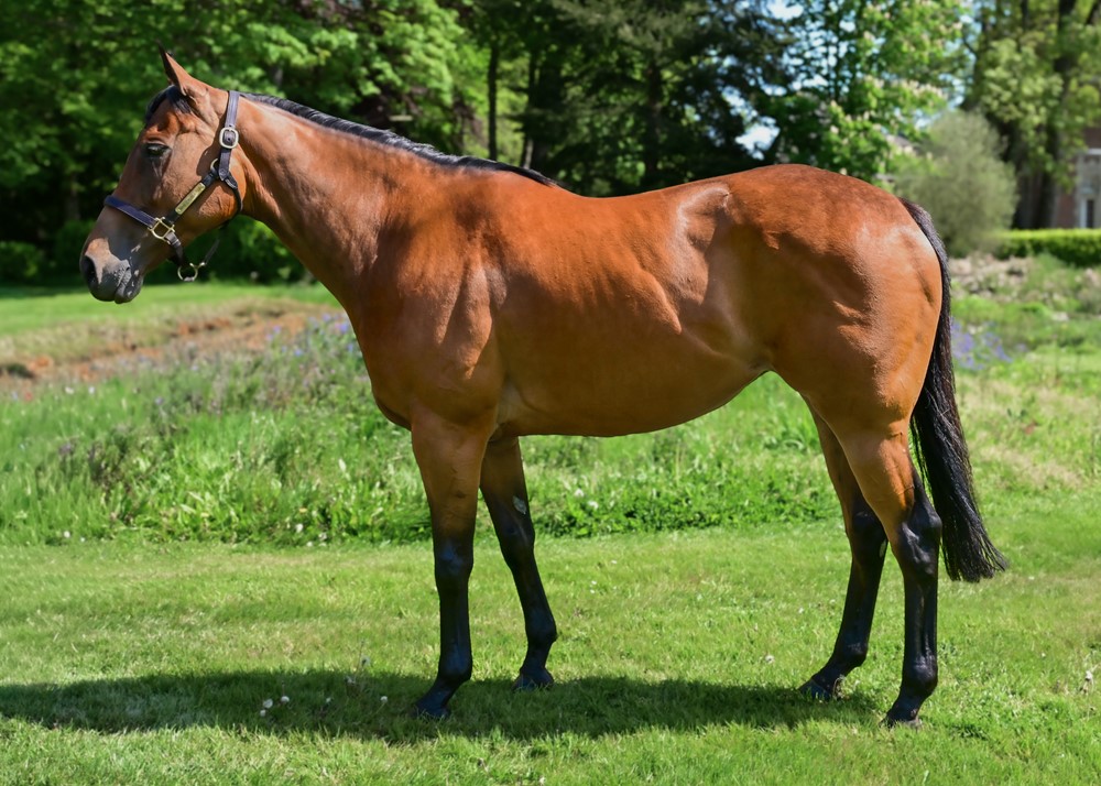 Liberty Breeze