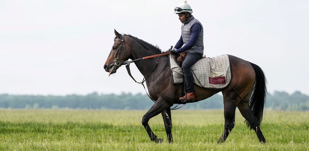 Melanie’s Joy Places On Racecourse Debut