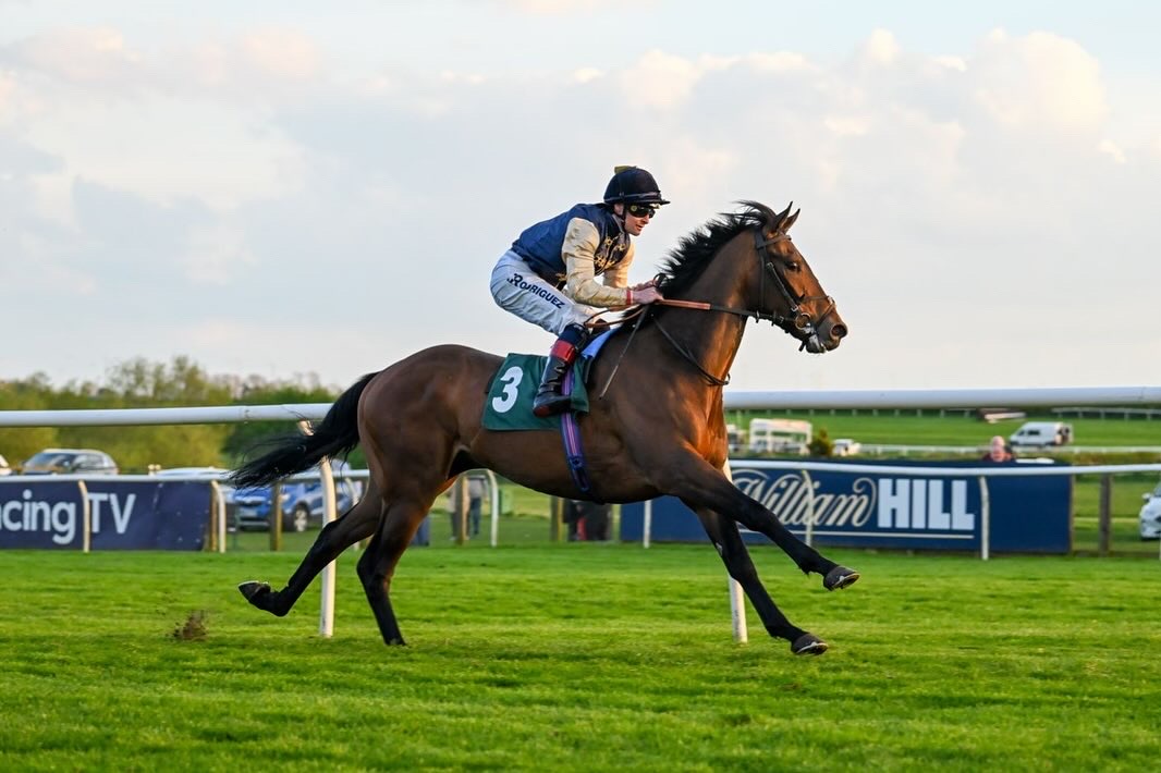 The Crowd Roars for KODI LION