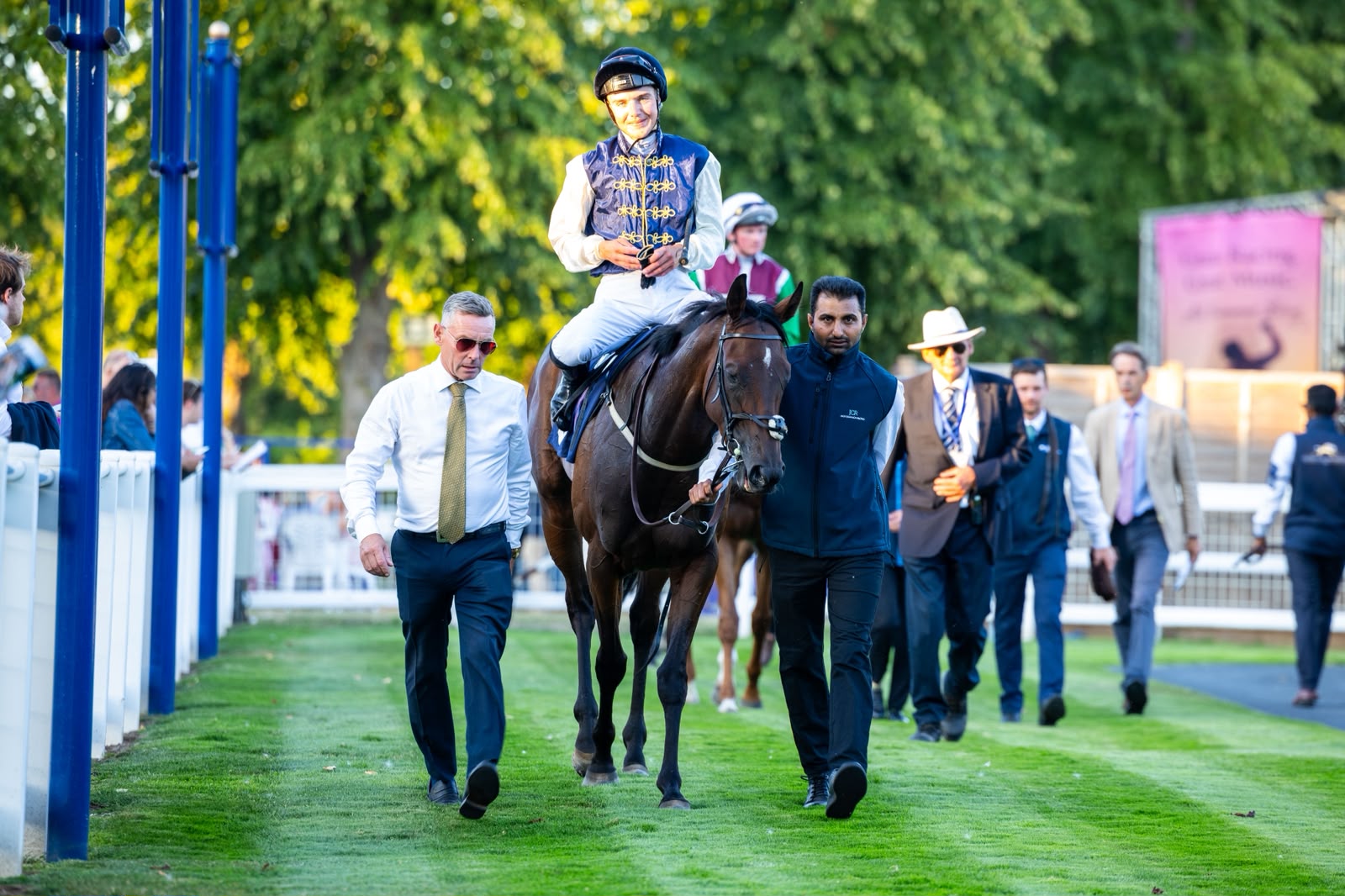 Summer in Full Swing: Winners, Foals and New Arrivals at Opulence - Cornelius Lysaght
