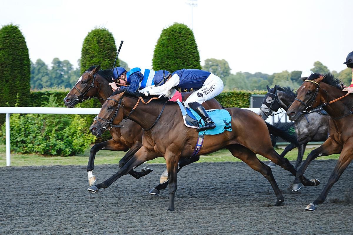 PHOENIX PASSION sees out a four timer for the Ed Walker team