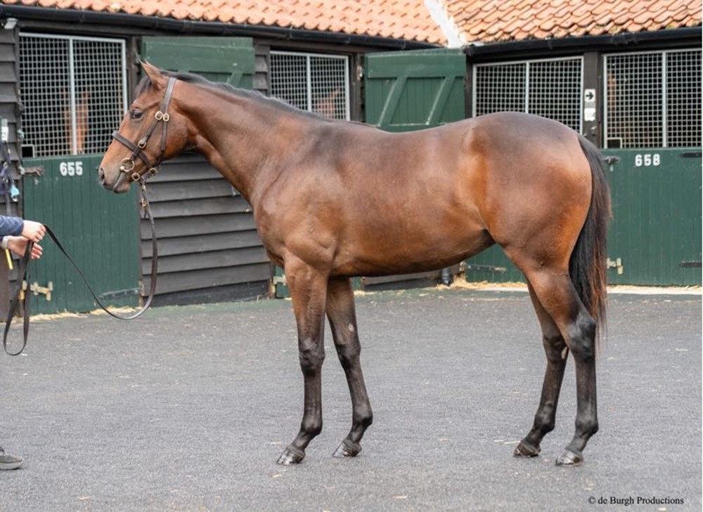 Mehmas x Catchingsnowflakes