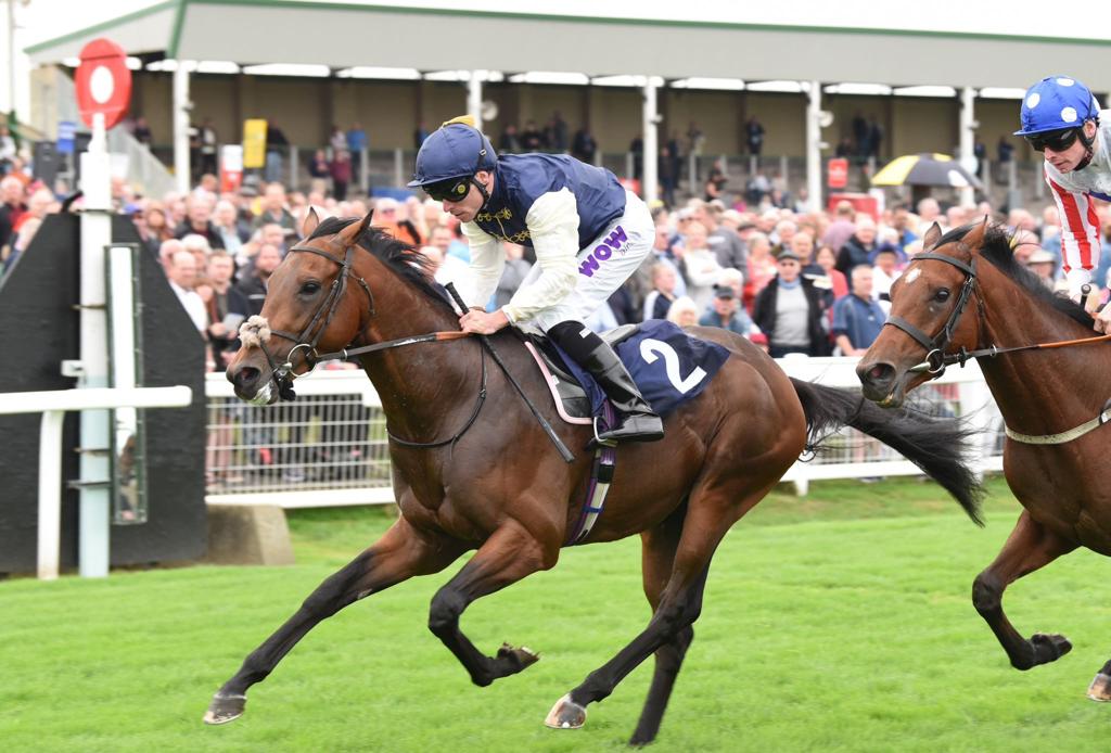 A Gutsy Performance from Phoenix Passion