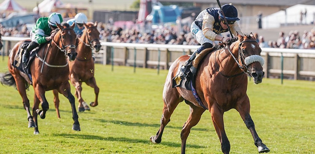 Marchogion Marches On at Newmarket