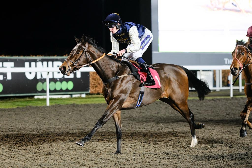 Victory for VOLKAN BEY