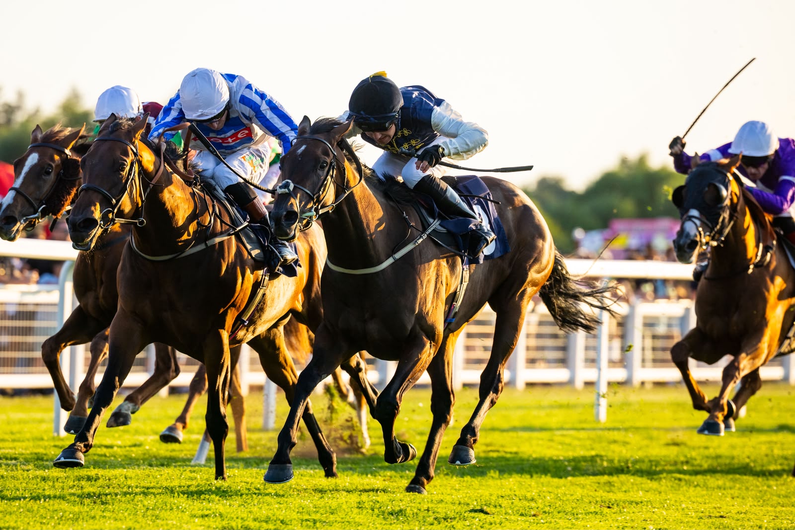 Maiden no more! Berlinetta gets off the mark at Windsor