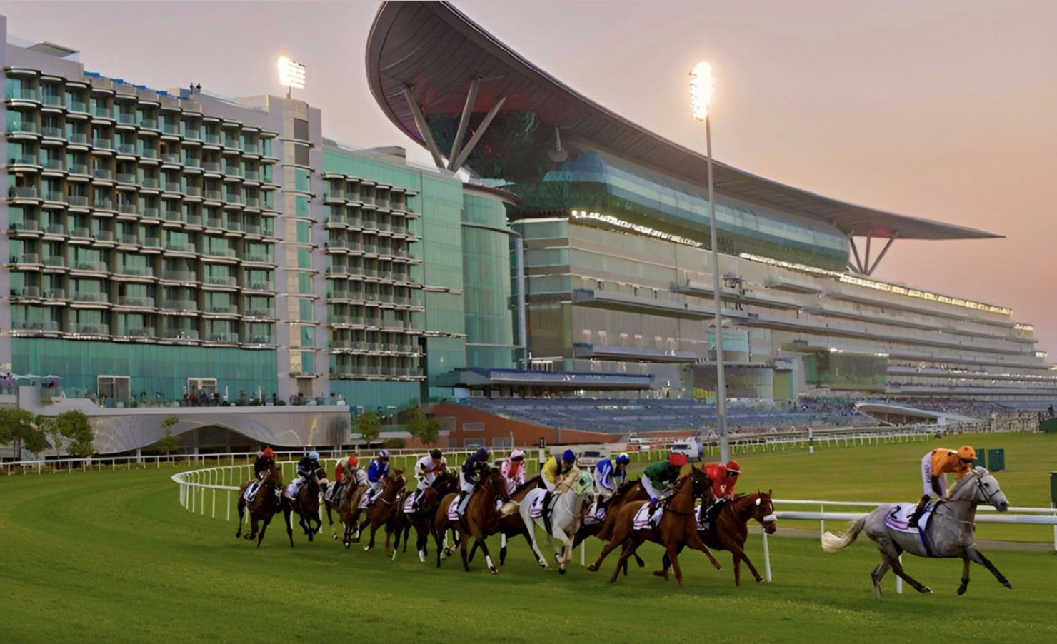 Opulence Thoroughbreds in Dubai