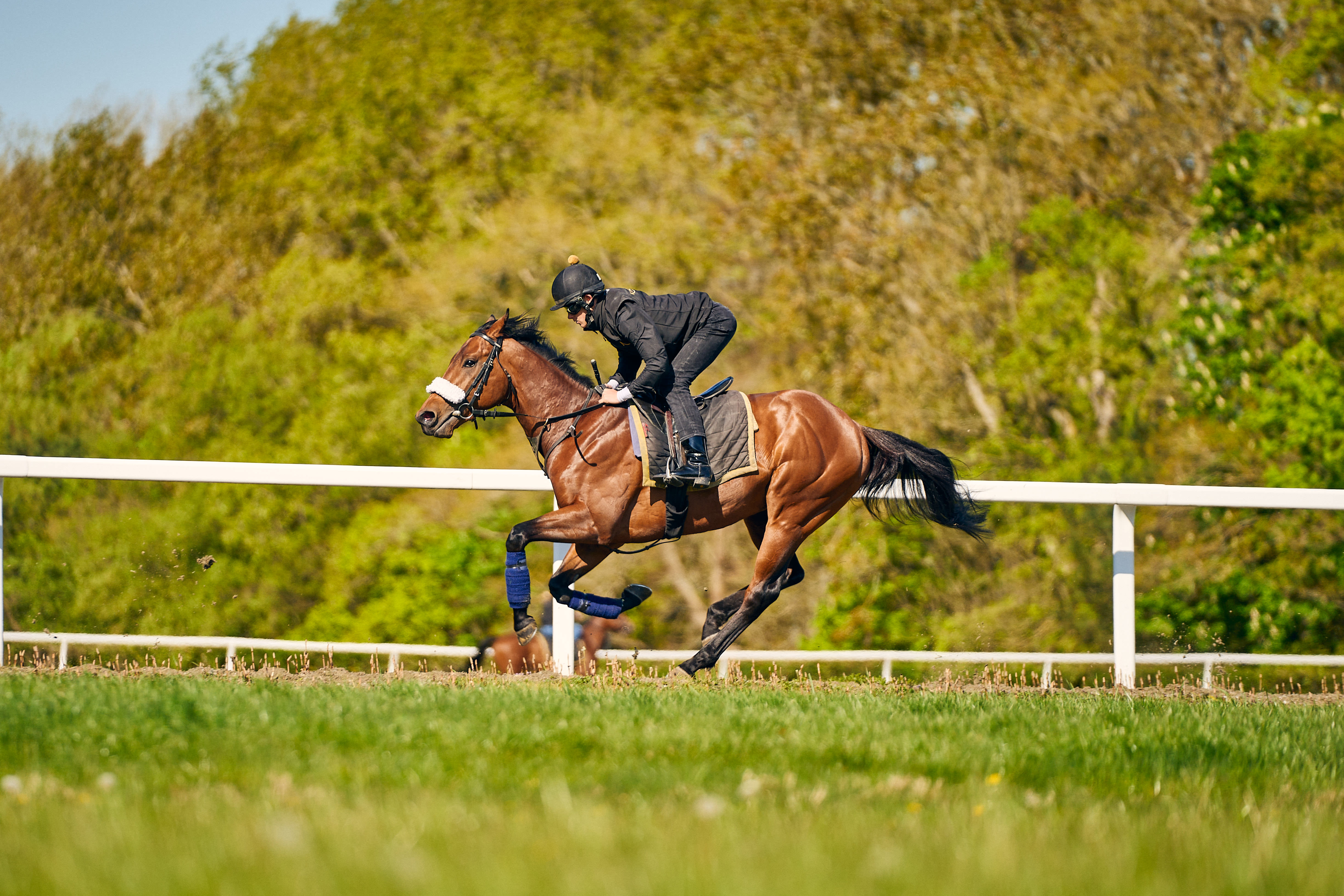 Bizarre Law Bounces back to form in the Racing League