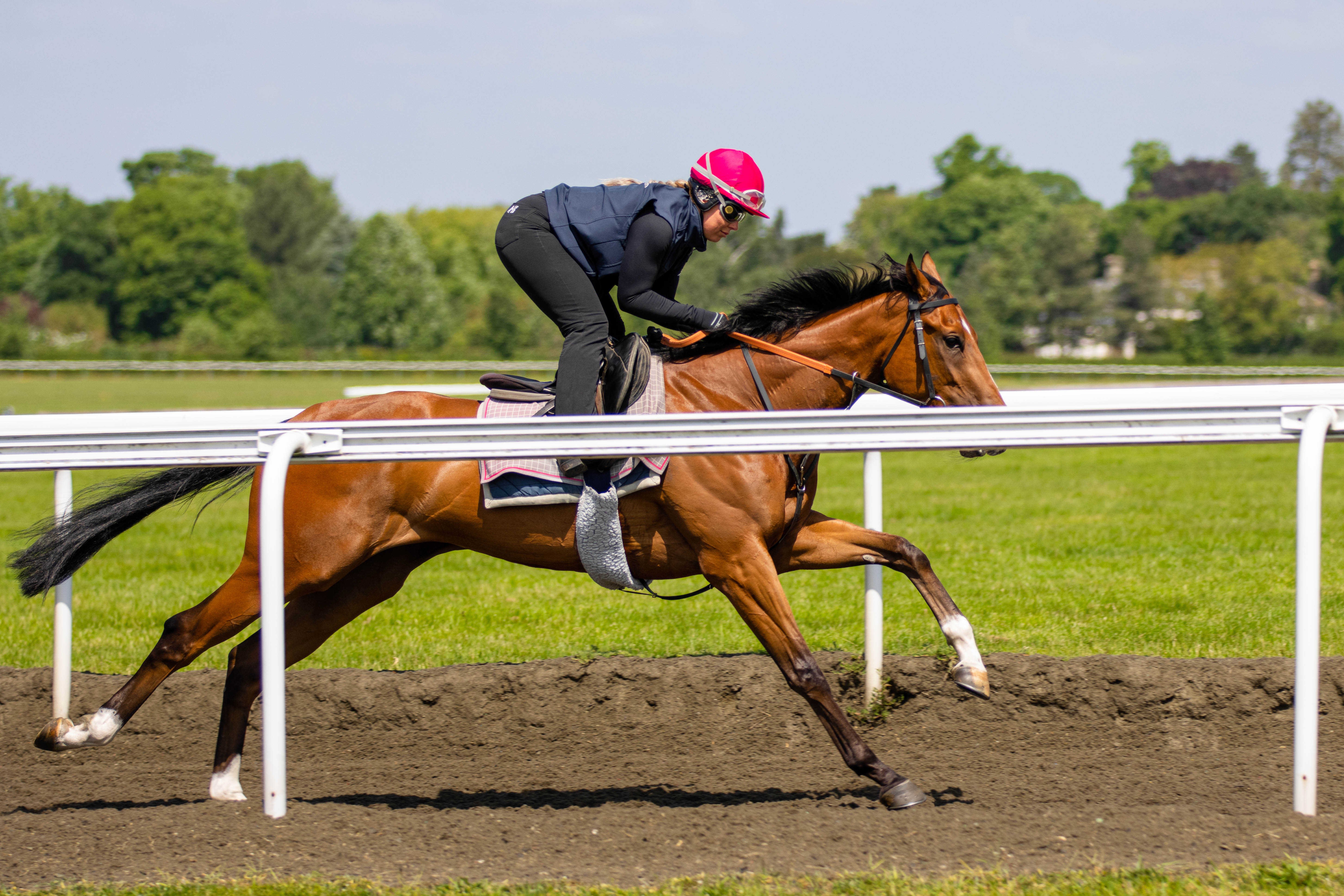 TYNDRUM GOLD won three of his five starts in the hands of Roger Varian.