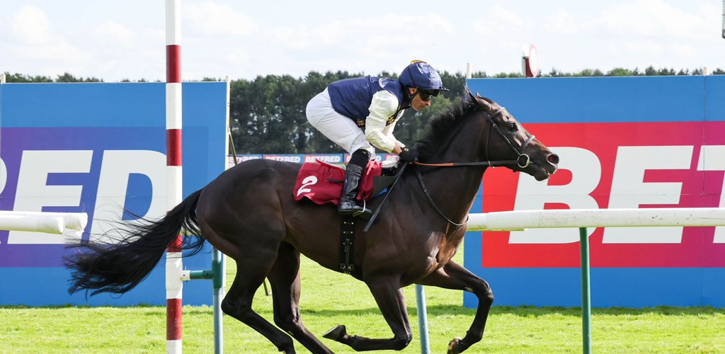 Britannia Bound for Dashing Darcey