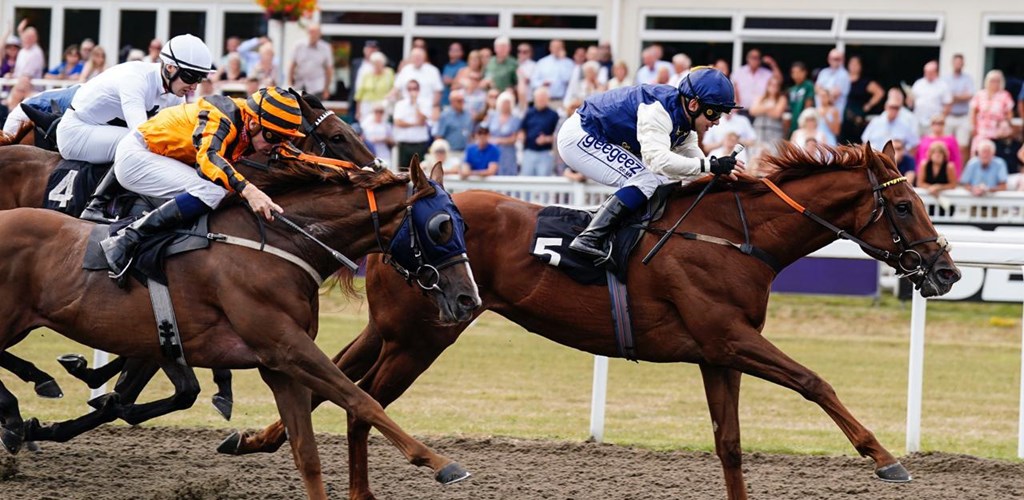 Laguna Boy Secures Impressive Victory at Chelmsford