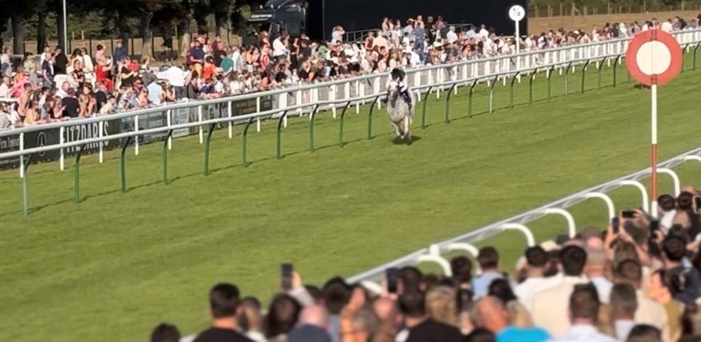Five Years. 100 Winners. Unlimited Ambition - By Cornelius Lysaght