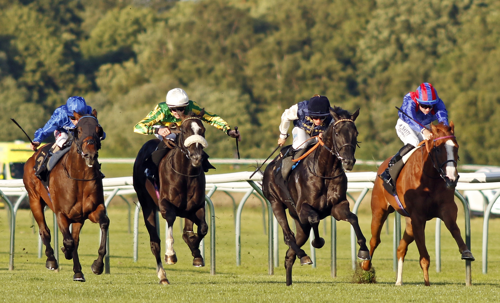 Debora's Dream cruises to victory at Nottingham