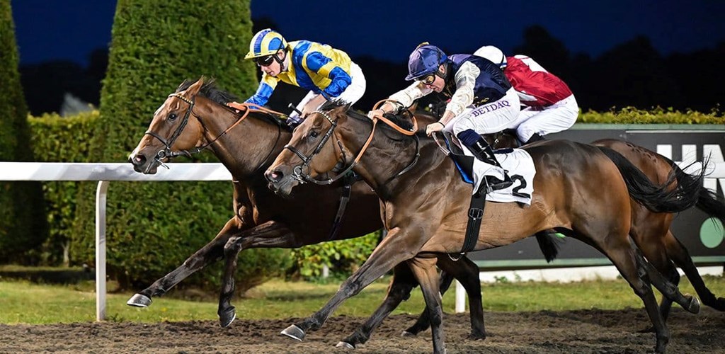 Flavour Maker cooks up a winning recipe at Kempton park!