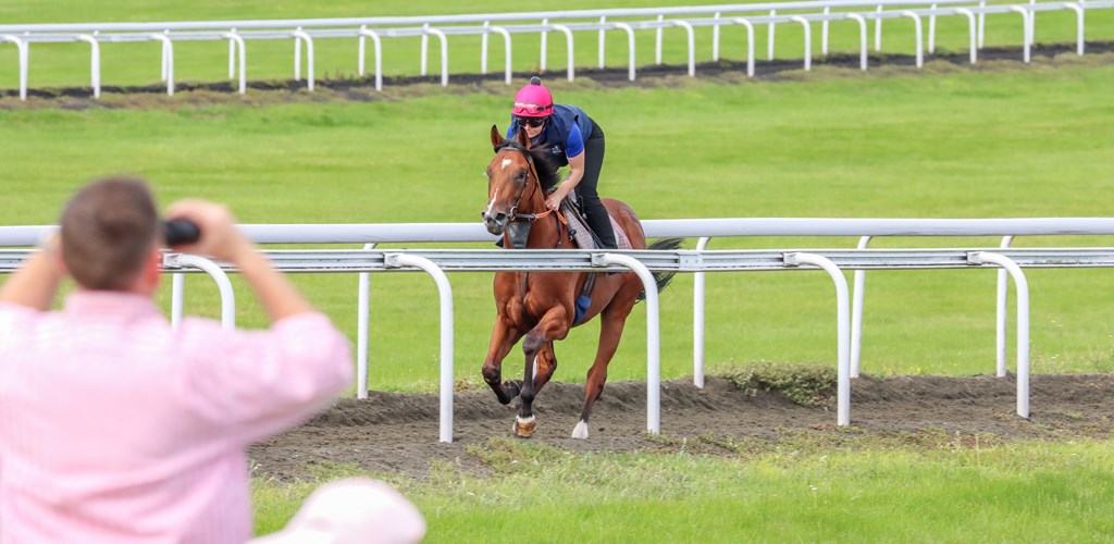 Racing Through the Years - by Cornelius Lysaght