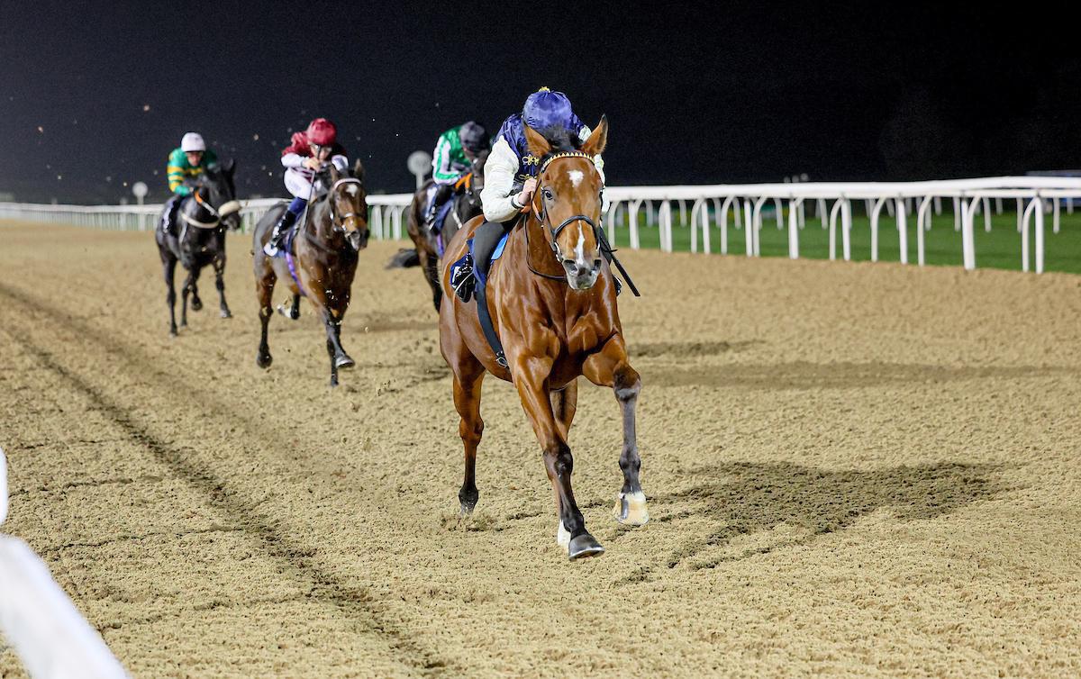 Sovereign Sea Sets Sail for Victory in Newcastle Debut