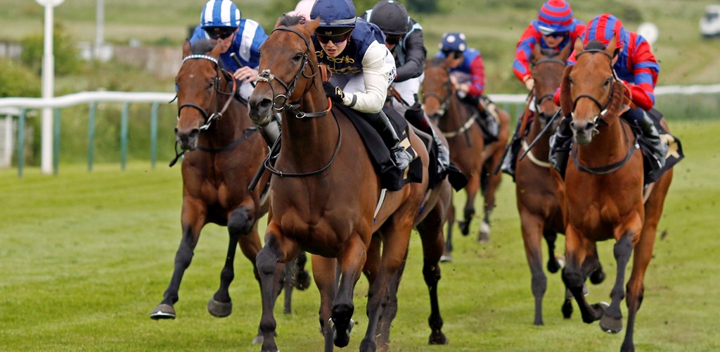 Hat-Trick Heaven for Phoenix Passion