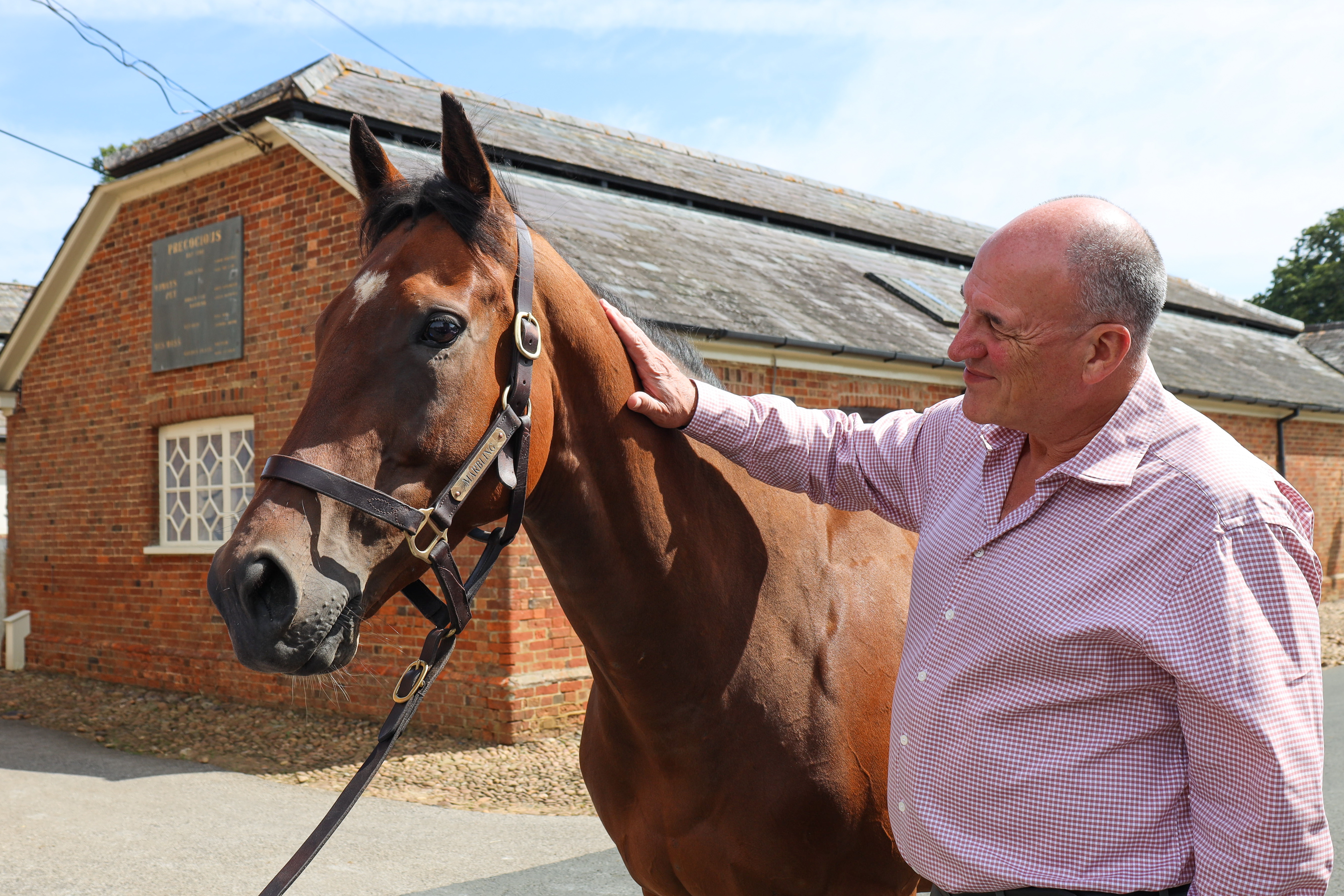MARBLING, in foal to LOPE DE VEGA, with her owner.