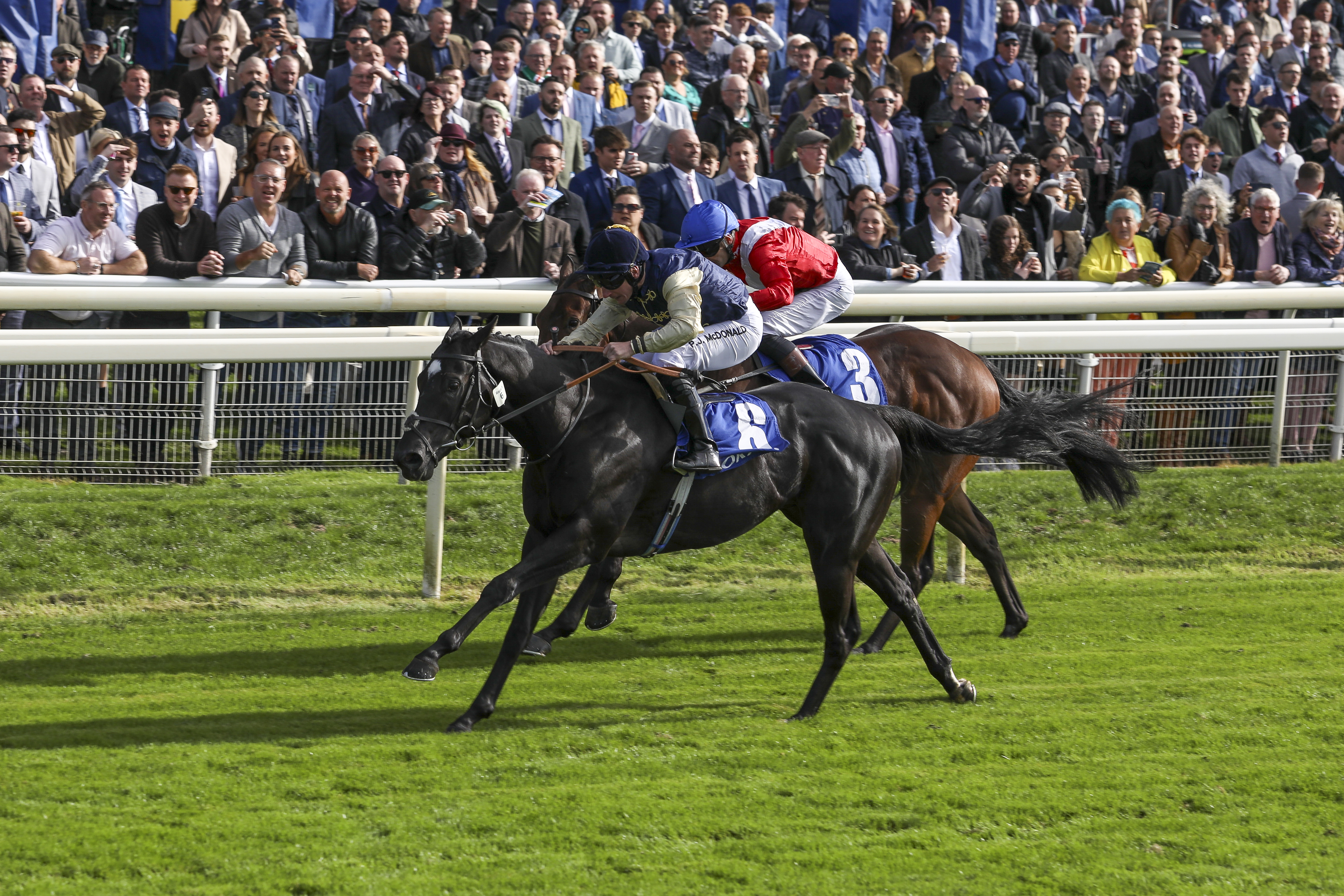 PUROSANGUE triumphs in the Listed Rockingham Stakes