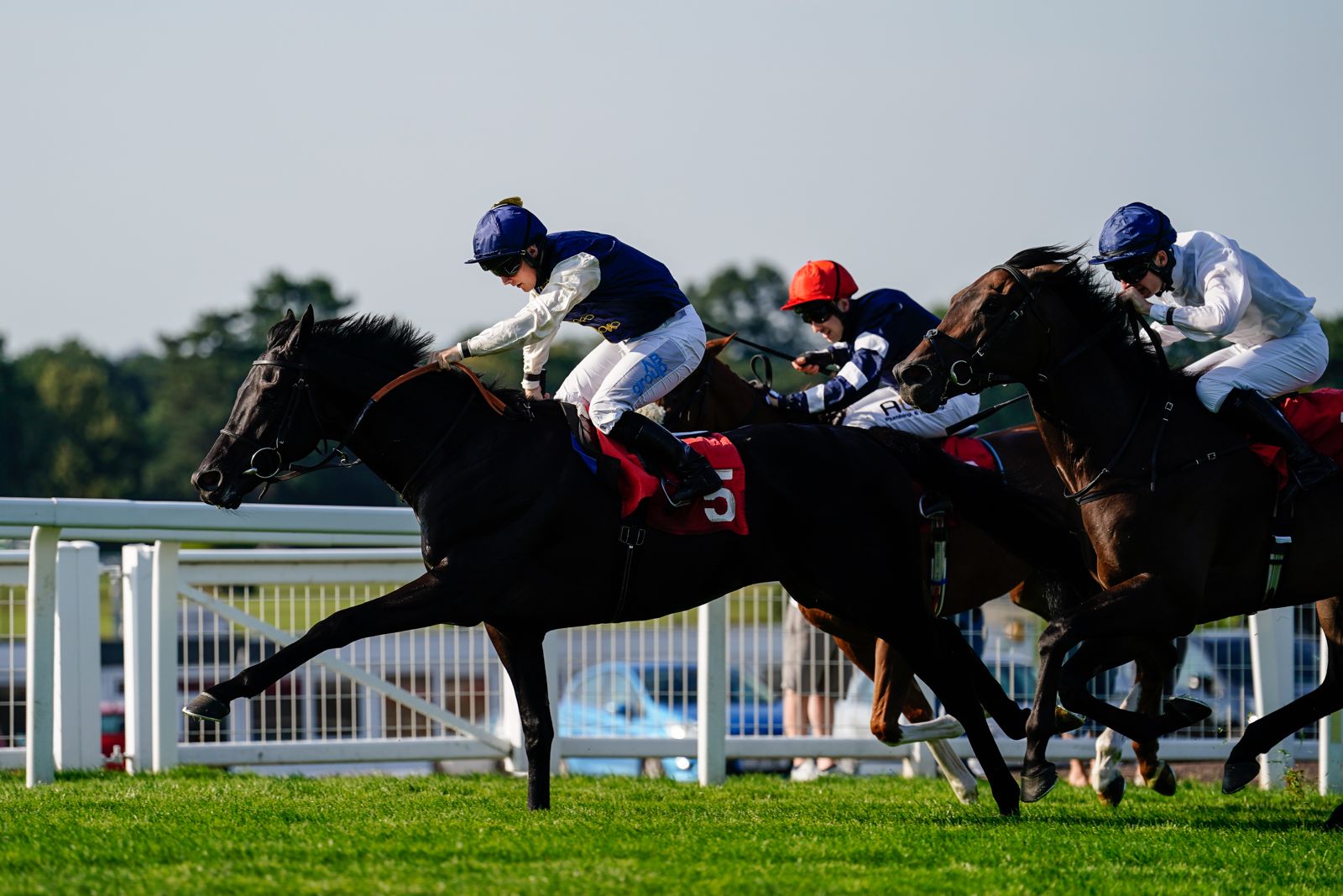 Debora’s Dream celebrates Sandown Success