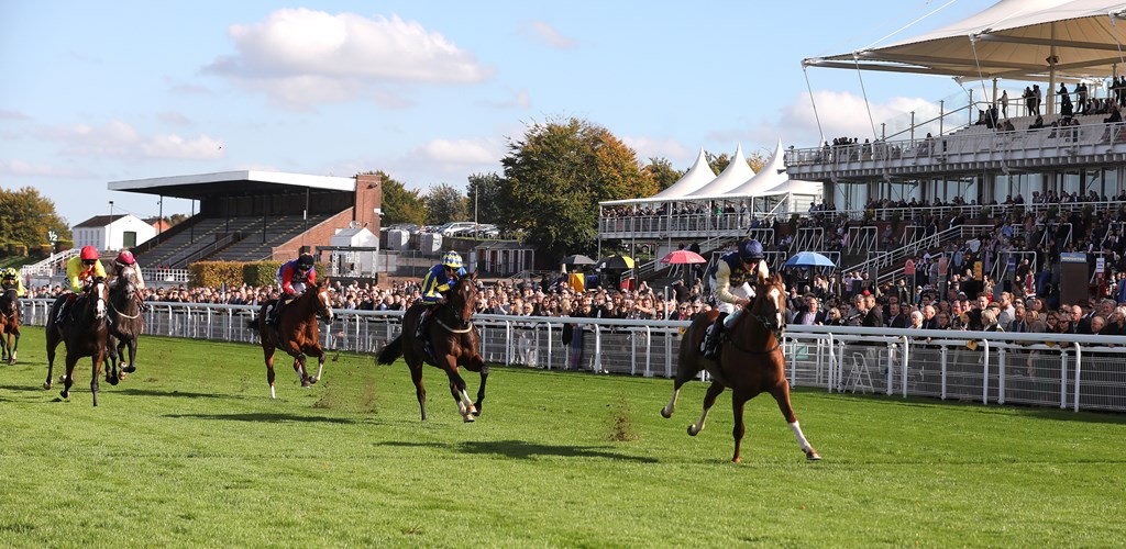 Memories of Glorious Goodwood by Cornelius Lysaght