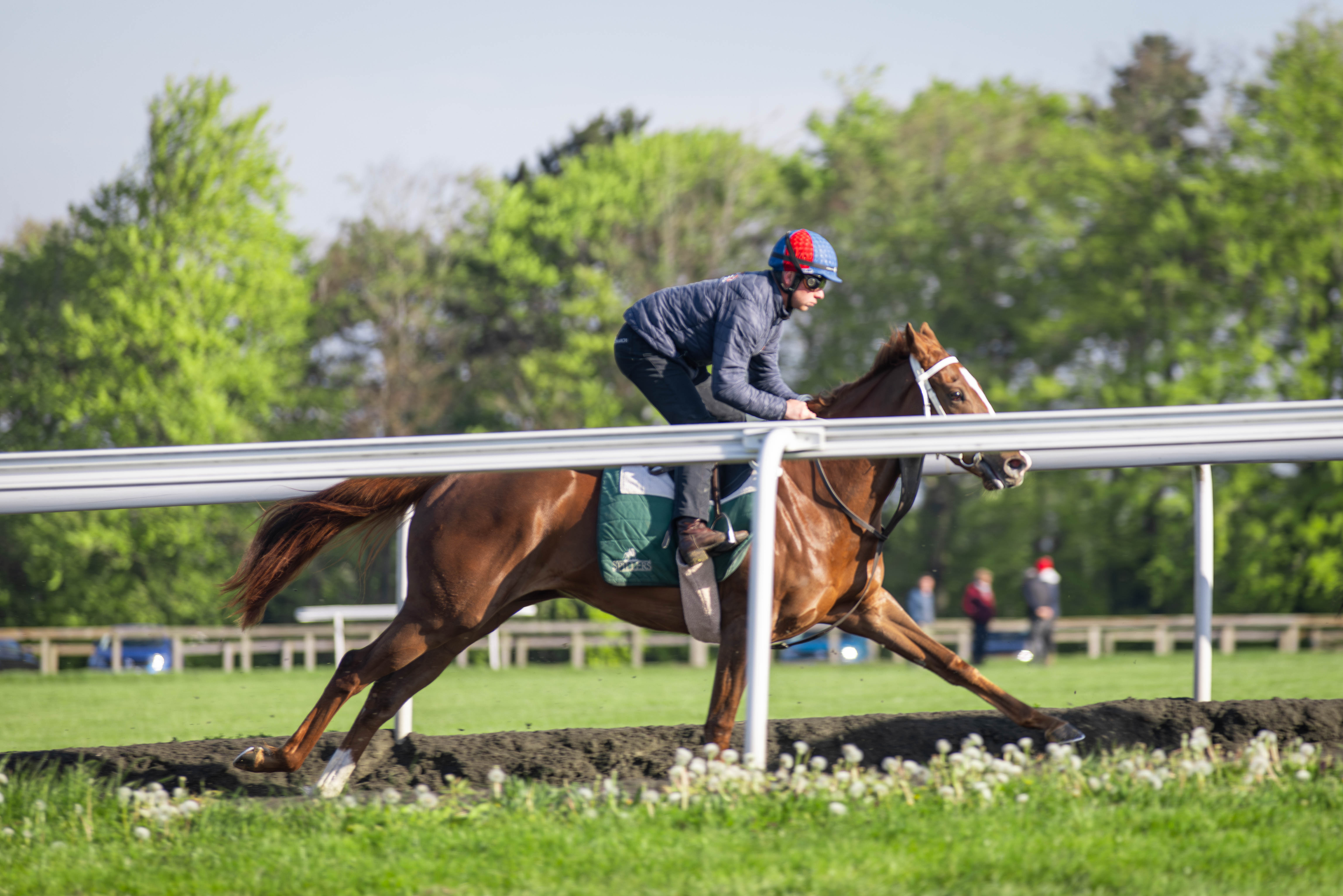 Opulence Ladies Aiming For Royal Ascot
