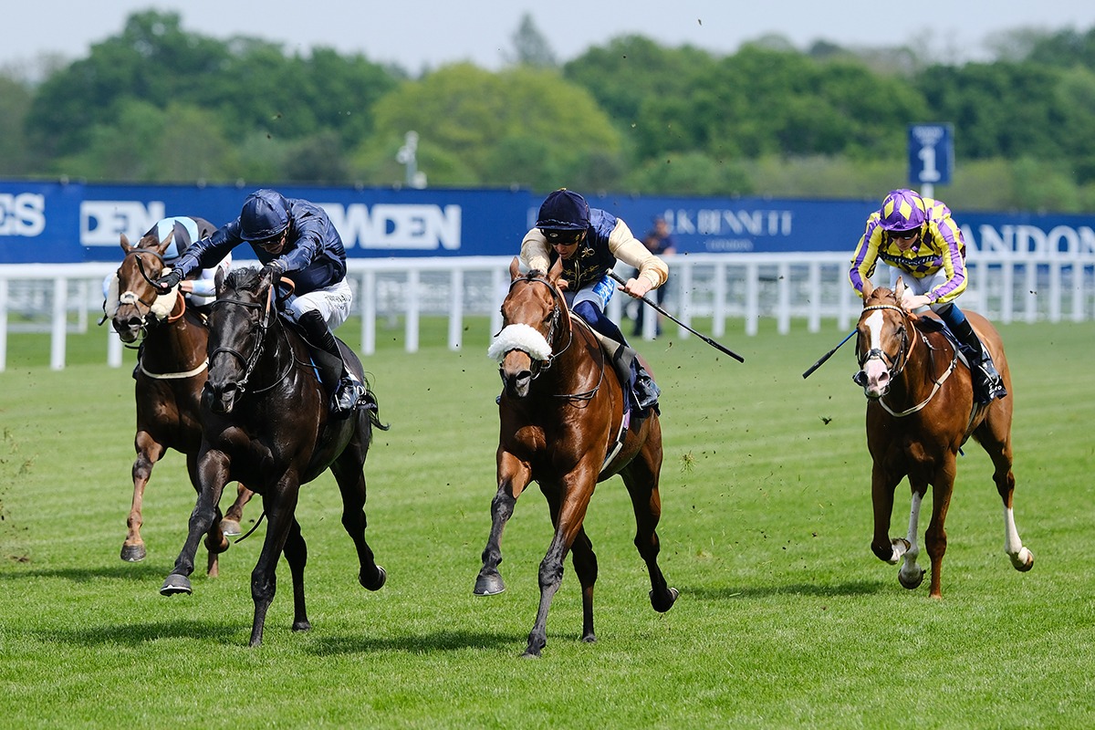 Arctic Thunder Propels to glory at Ascot