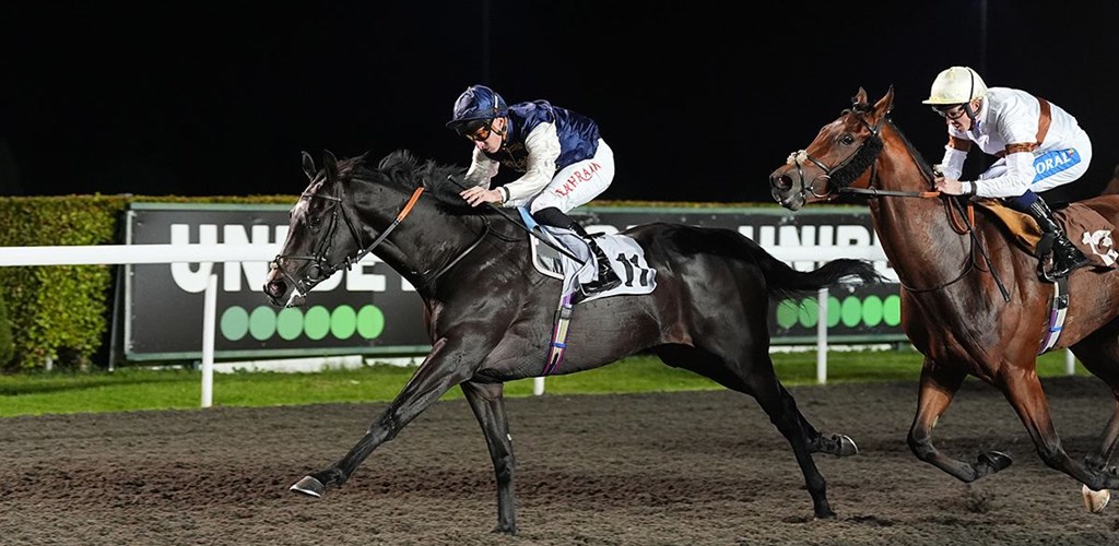 Hat-trick heaven for Devoirs Choice