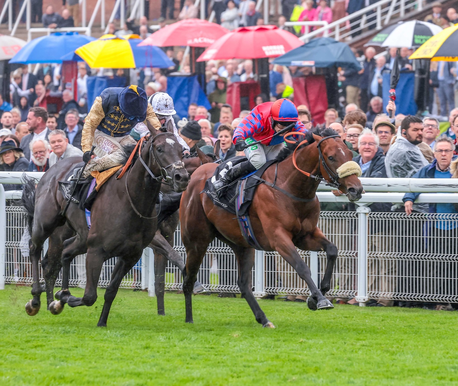 Purosangue up against Big Evs in the Molecomb Stakes at Goodwood