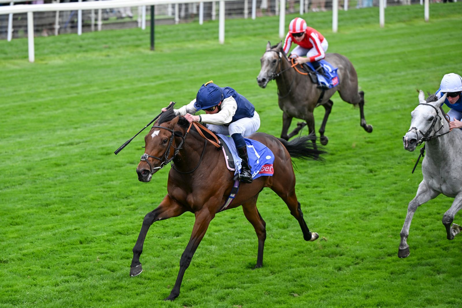 From Dreams to Reality: Opulence Thoroughbreds Celebrate First Group Winner