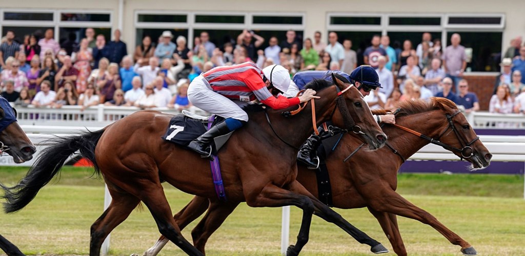 AZURE ANGEL makes a bold bid at Chelmsford