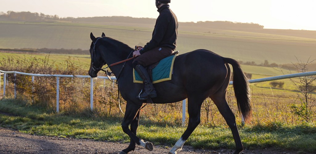 Middleton View: Patience, Promise, and Progress by Cornelius Lysaght