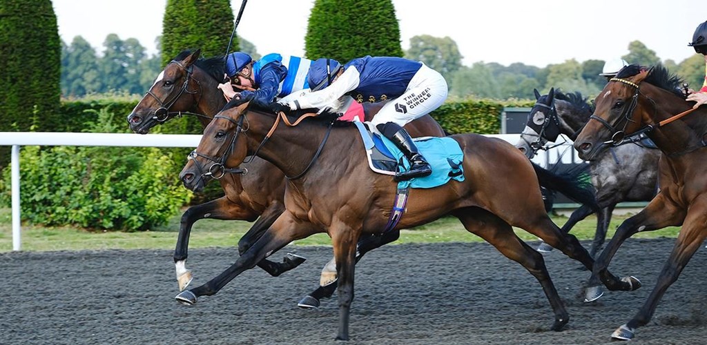 PHOENIX PASSION sees out a four timer for the Ed Walker team