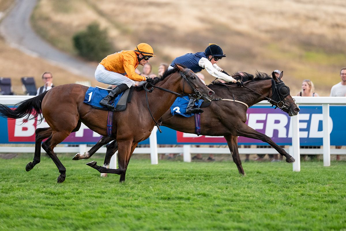 Sugar Sugar completes a clean sweep for Opulence Thoroughbreds