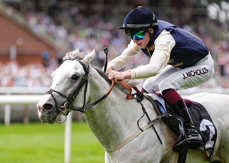 Addison Grey Prevails in JenningsBet Grey Horse Handicap at Newmarket