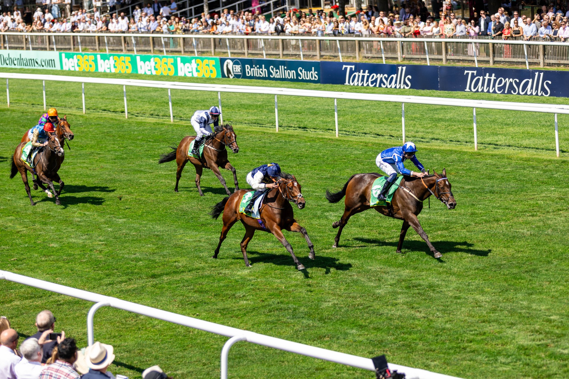 Second Place, First Class: Royal Fixation’s Next Chapter