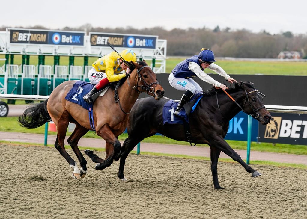 DASHING DARCEY Prevails Again!