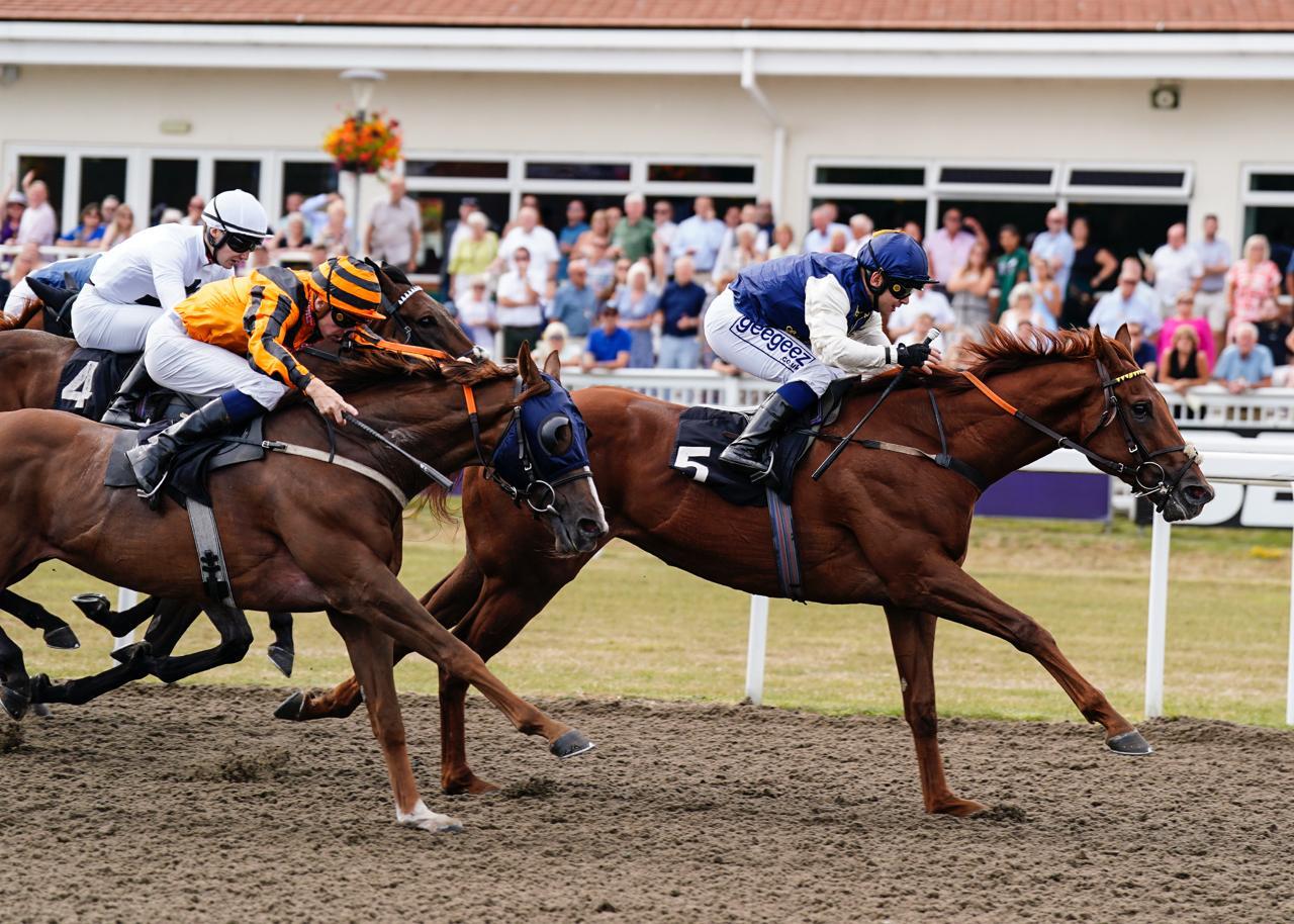 Laguna Boy Secures Impressive Victory at Chelmsford