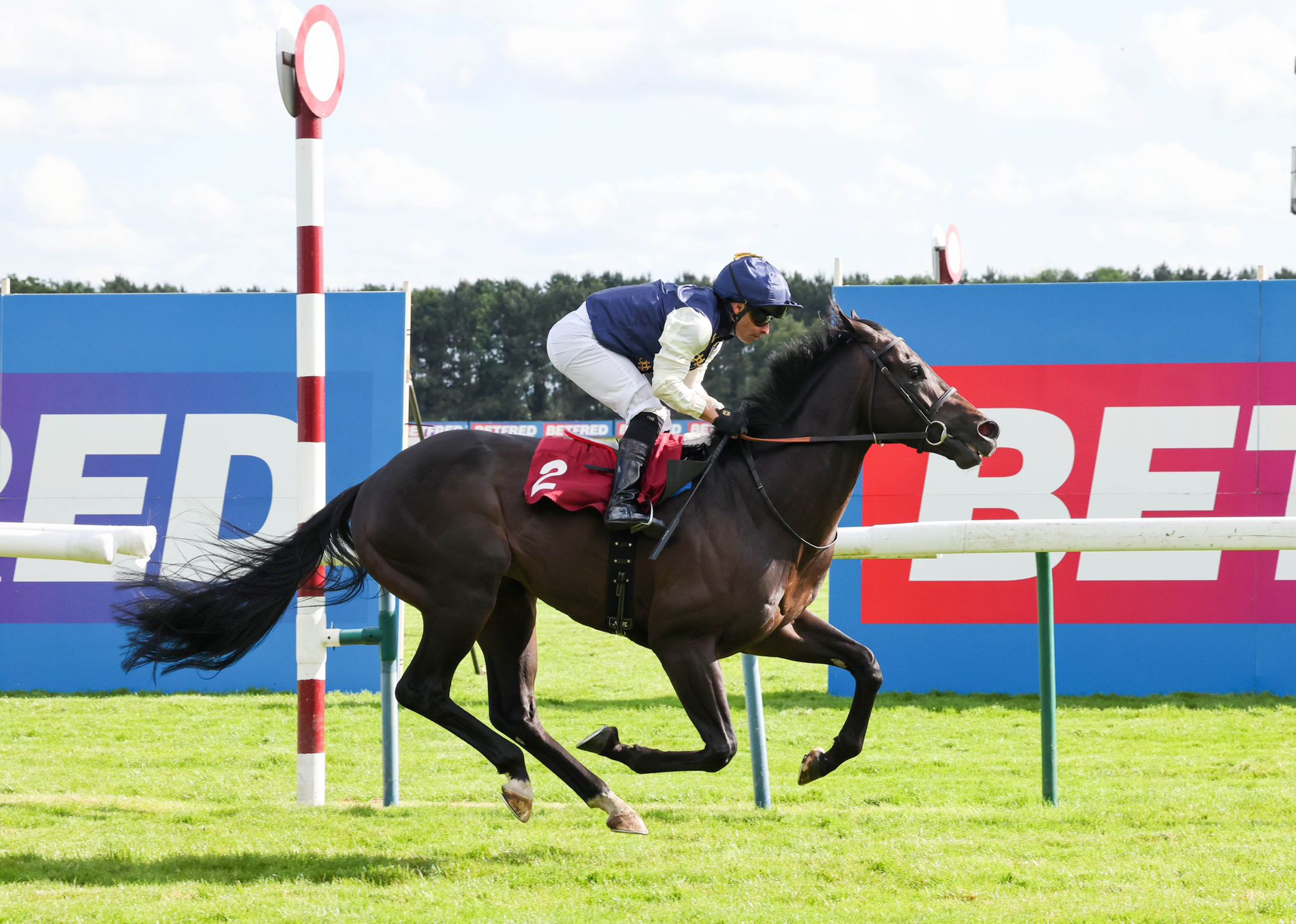 Britannia Bound for Dashing Darcey