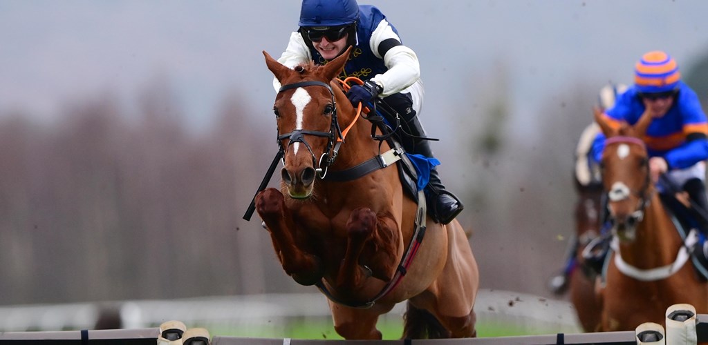 REWIRED Goes from Strength to Strength - Opulence Thoroughbreds