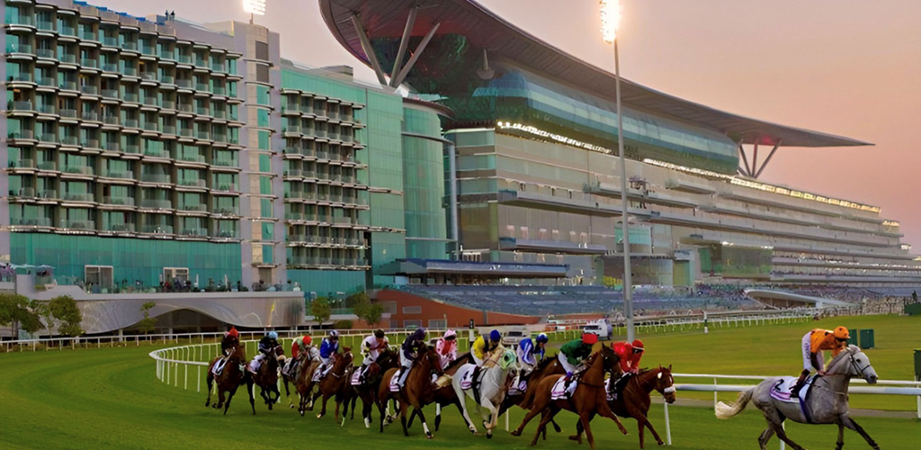 Opulence Thoroughbreds in Dubai