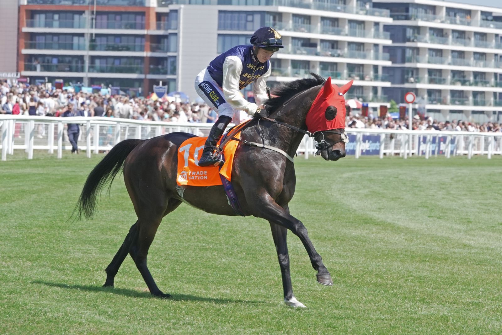 Lightening Mann Shines with Gritty Second in London Gold Cup at Newbury