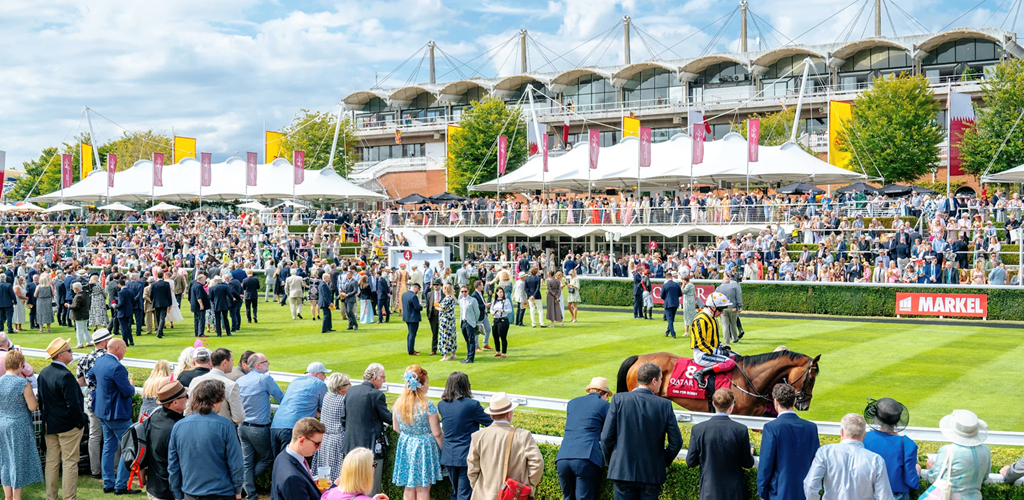 The Opulence String Heading to Glorious Goodwood