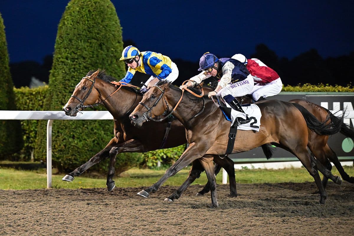 Flavour Maker cooks up a winning recipe at Kempton park!